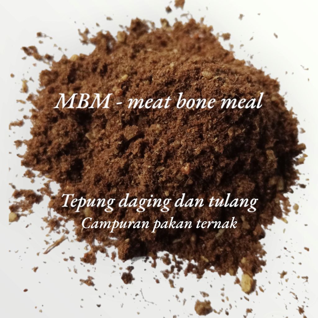 1 KG MBM (Meat bone meal) tepung daging & tulang campuran pakan ternak