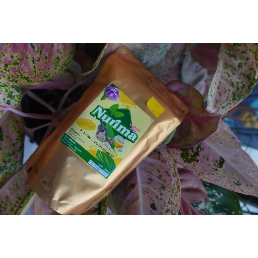 

NURIMA TEMULAWAK INSTAN