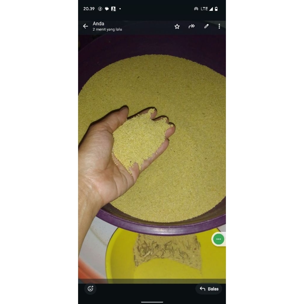 

Ratu dalleng jawawut/ beras ba'tan Enrekang 1liter