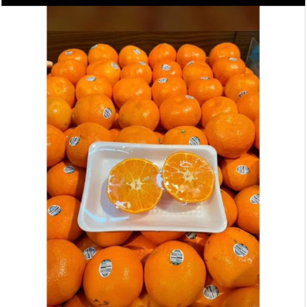 

Jeruk Murcot Empres Ausi / jeruk hony Murcot manis 1kg