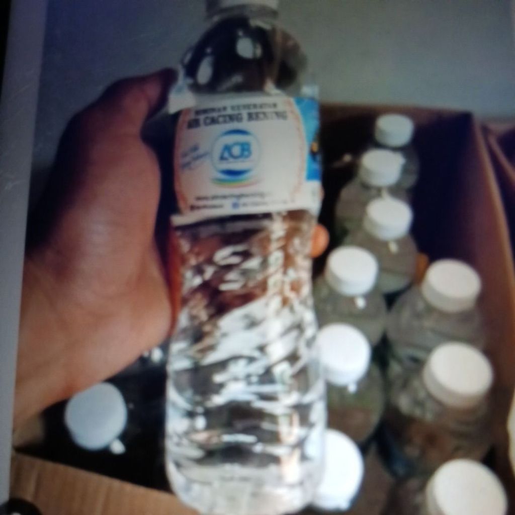 

ACB (Air Cacing Bening) Herbal Alami