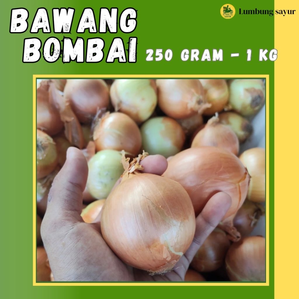 

Bawang Bombai Segar | Fresh dari Petani | Kemasan 250g – 1kg |