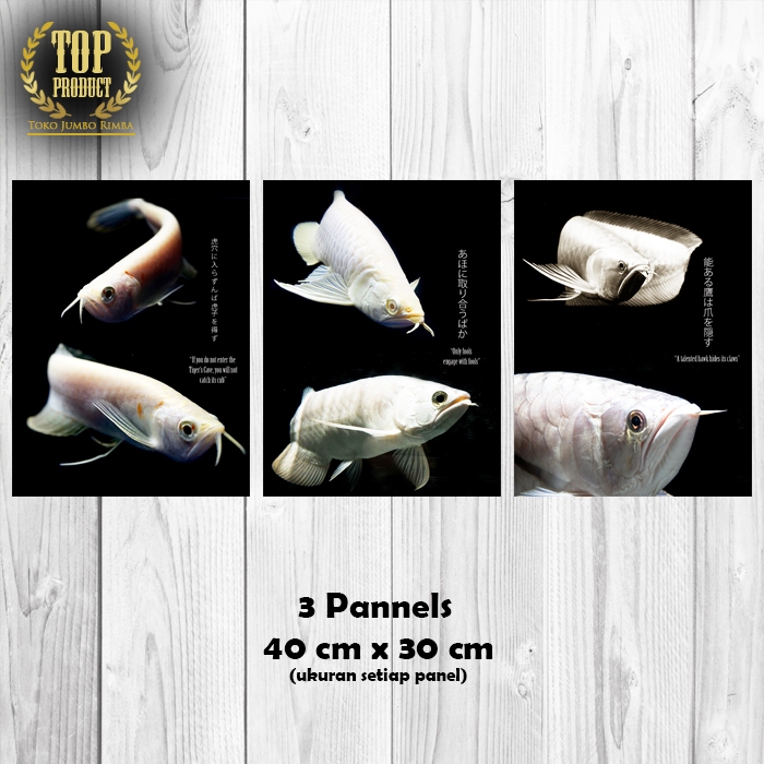 Poster Ikan Arwana Platinum 40x30cm (3 Pannels) Hiasan Tembok Dinding Ruang Tunggu Tamu Kamar Kerja 