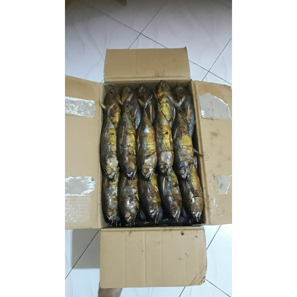 

ikan asap baby tuna isi 2 ekor ukuran besar