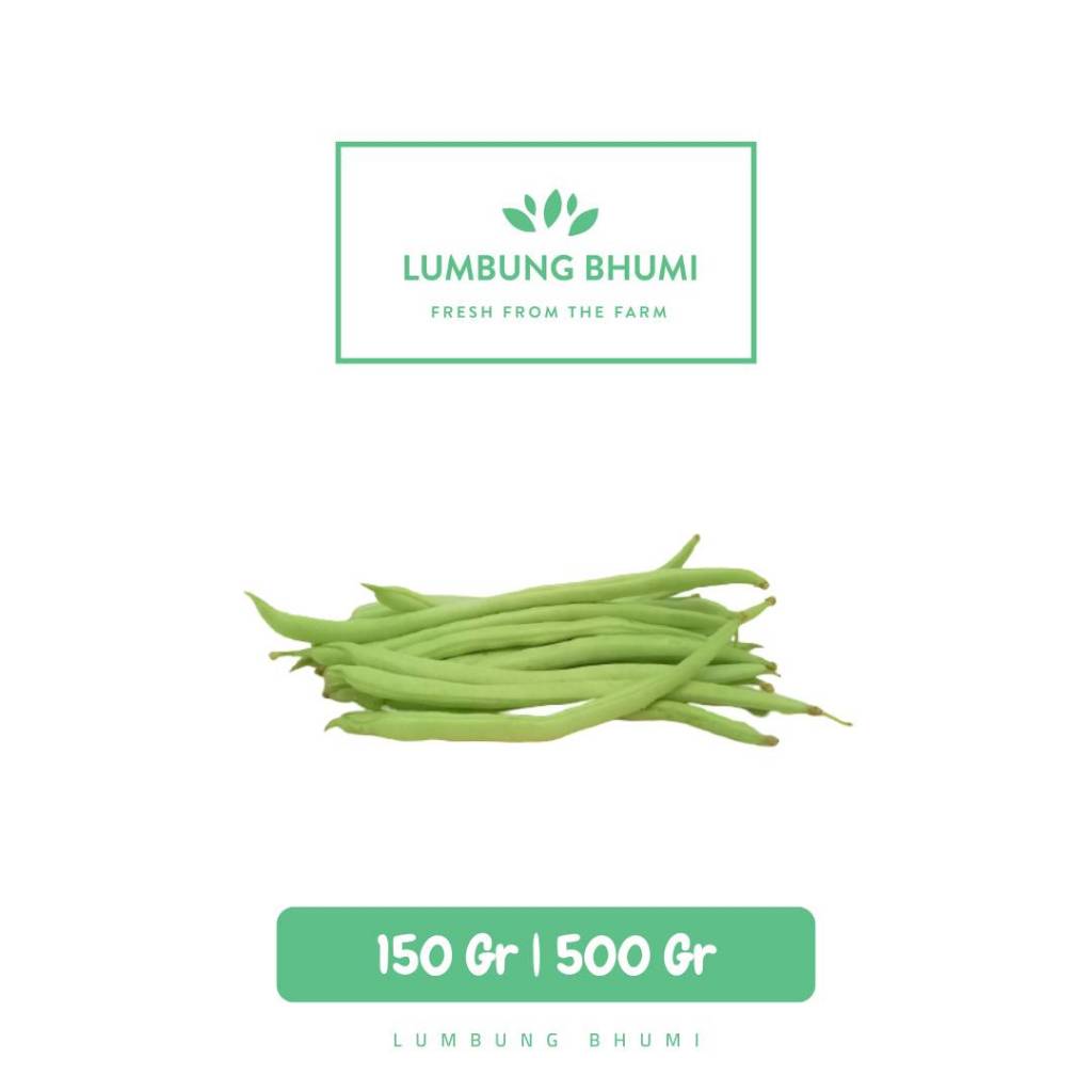 

Baby Buncis Lokal Sayur - Lumbung Bhumi