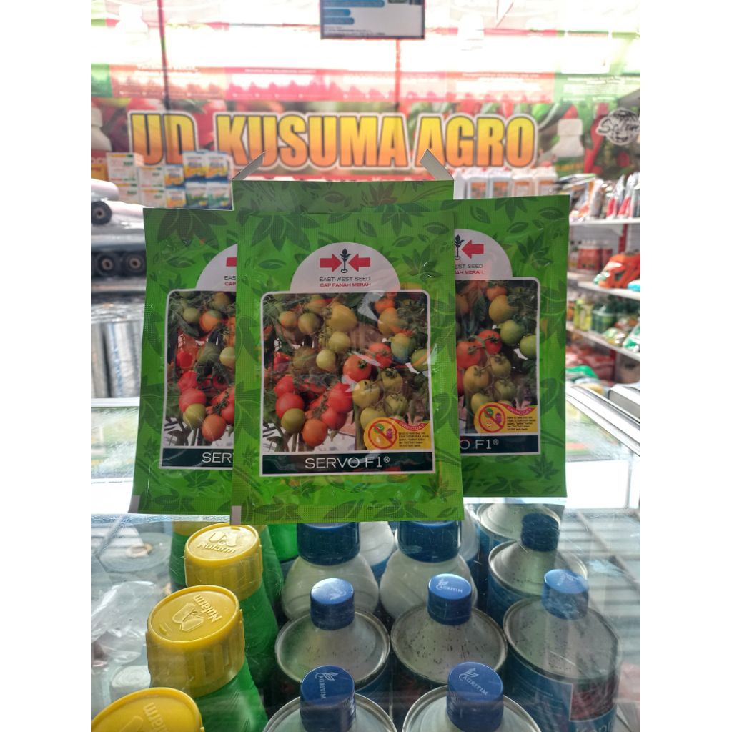 Benih Tomat Servo F1 Cap Panah Merah