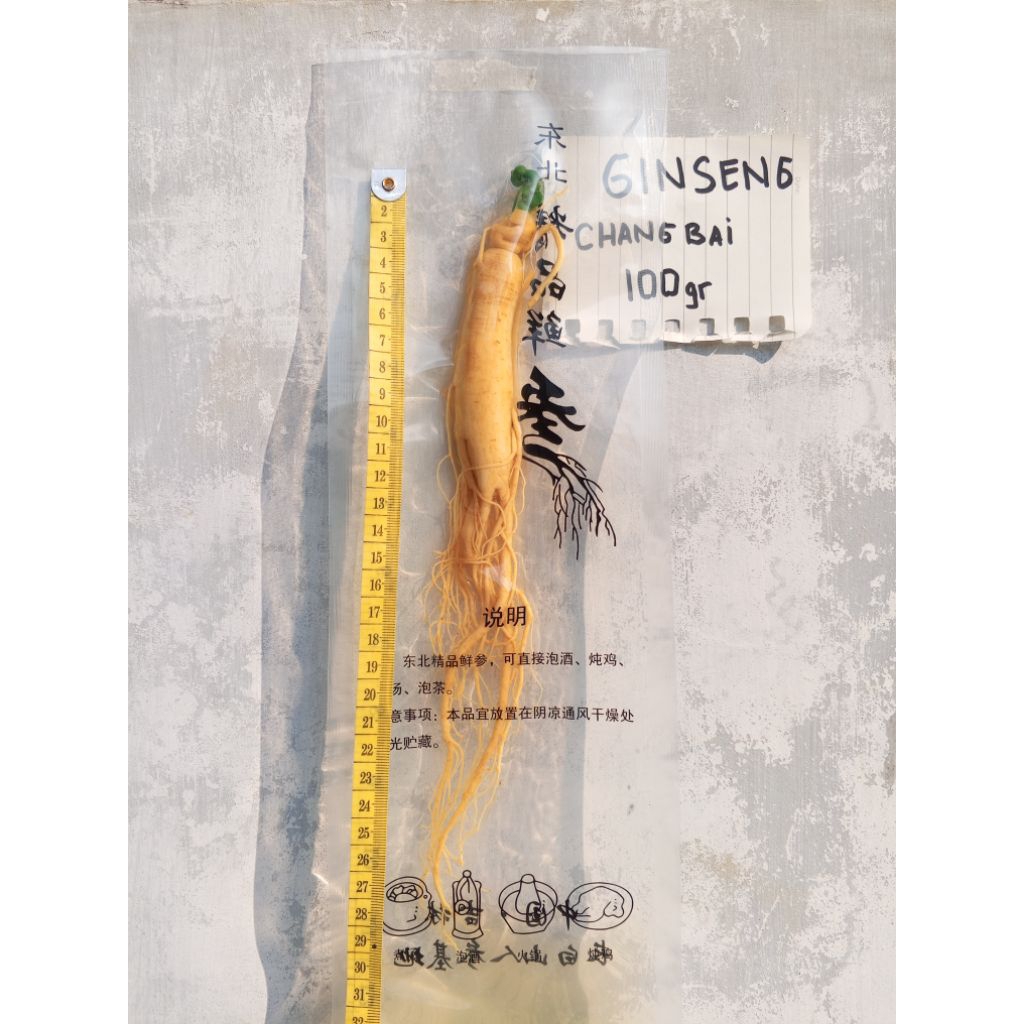 

Ginseng Segar ( 100gr ) Asli Changbai import , Kemasan Vakum Di Jamin Segar dan Original