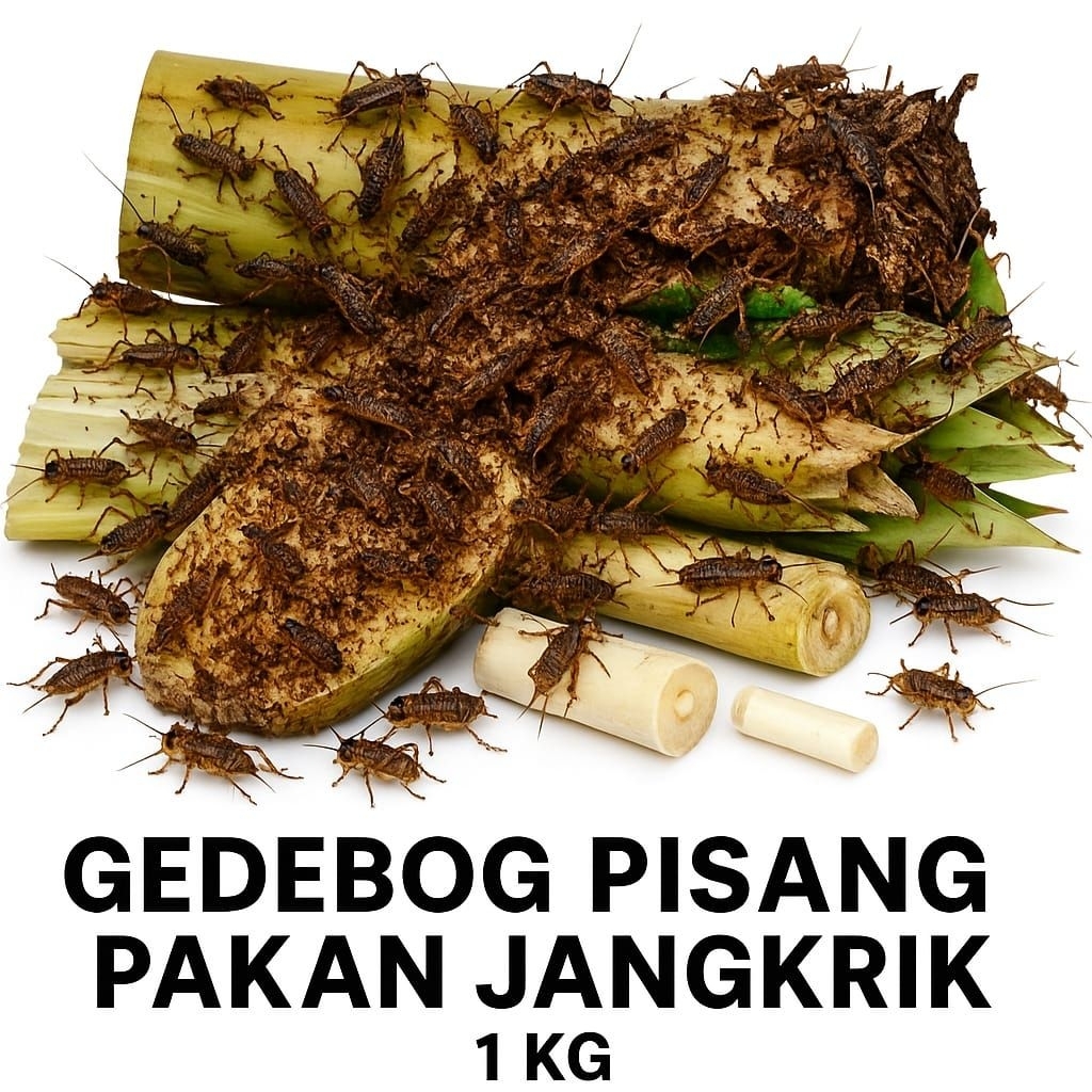 

TERMURAH Gedebog Pisang | Kulit Pohon Pisang | Pelepah Pisang 1 KG – Pakan Alami Jangkrik Berkualitas YA