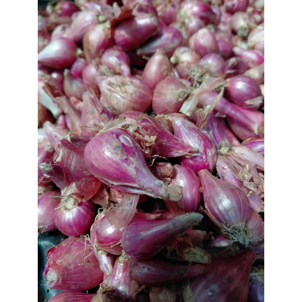 

Bawang merah bersih kering 250gram