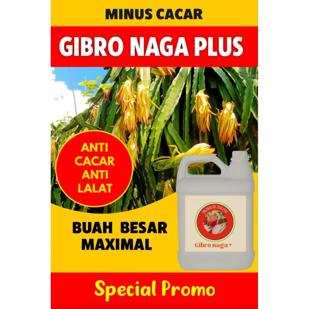 Gibro Plus Pembesaran buah anti lalat buah anti cacar