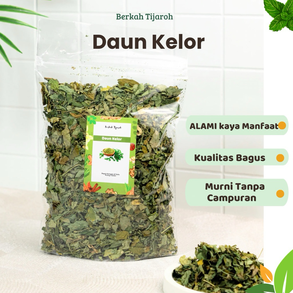 

Daun Kelor Kering Herbal Kolesterol Diabetes Rematik Darah Tinggi