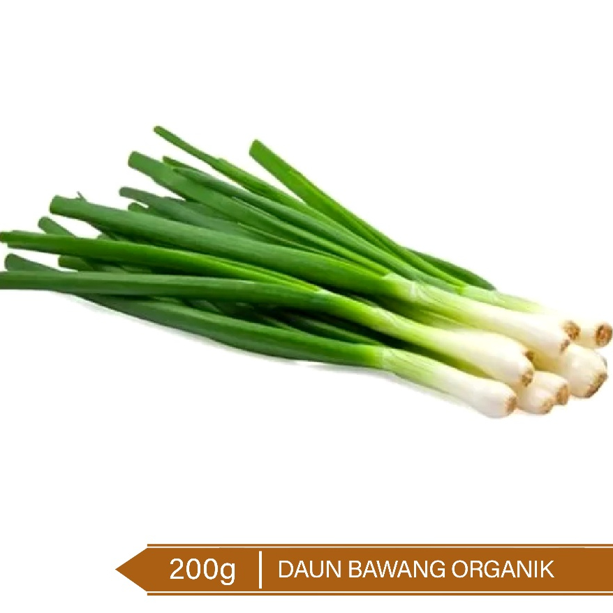 

Daun Bawang Organik 200g / Organic Scallion / Spring Onion