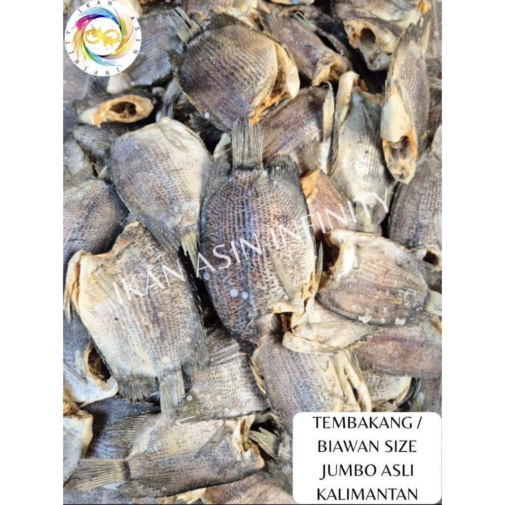 

Ikan Asin Tembakang / Biawan Size Jumbo Asli Kalimantan (1000 Gram / 1Kg)