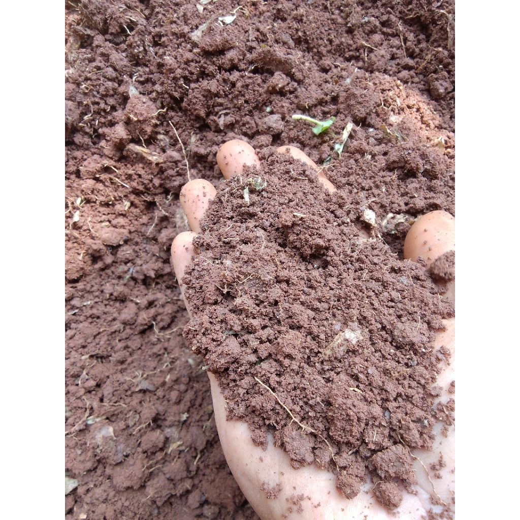 tanah merah 1 karung untuk media tanam