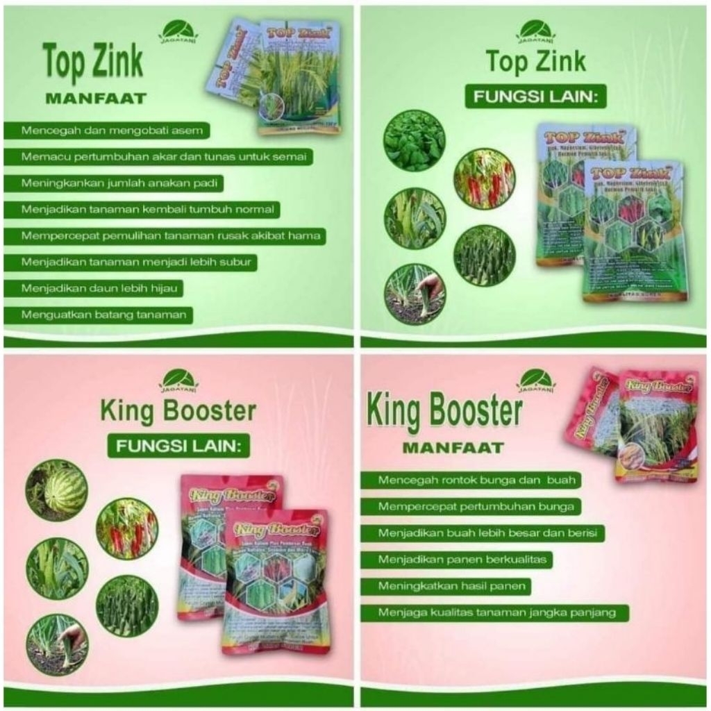 PAKET 1 TOP ZINK +1 KING BOSTER