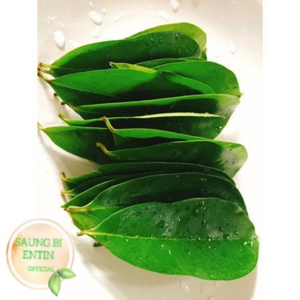 

Daun Sirsak Segar Organik Bersih 100 Lembar Herbal Alami Obat Asam Urat