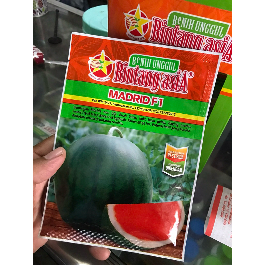 Benih semangka madrid f1 bintang citra asia