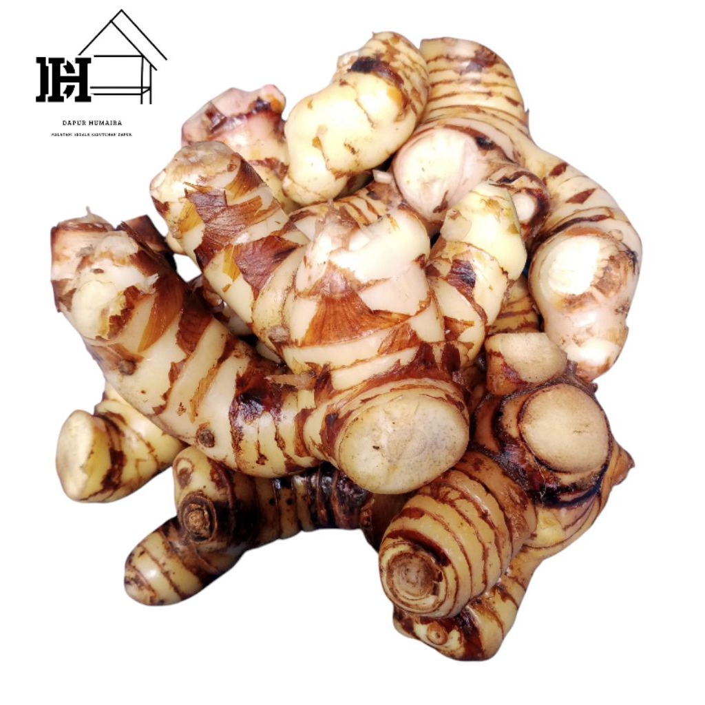 

Lengkuas putih fresh 1kg