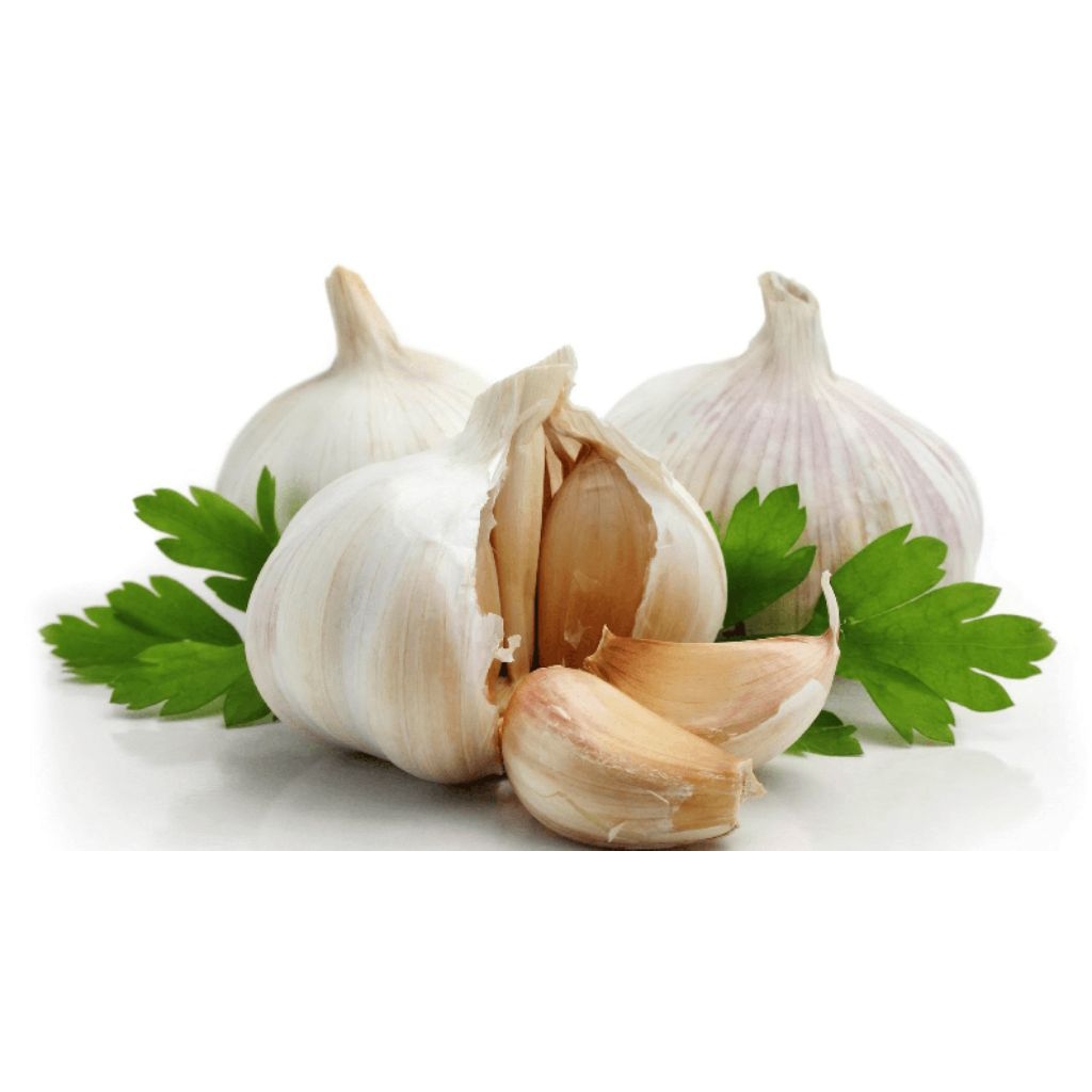 

BAWANG PUTIH KOTOR 1 KG