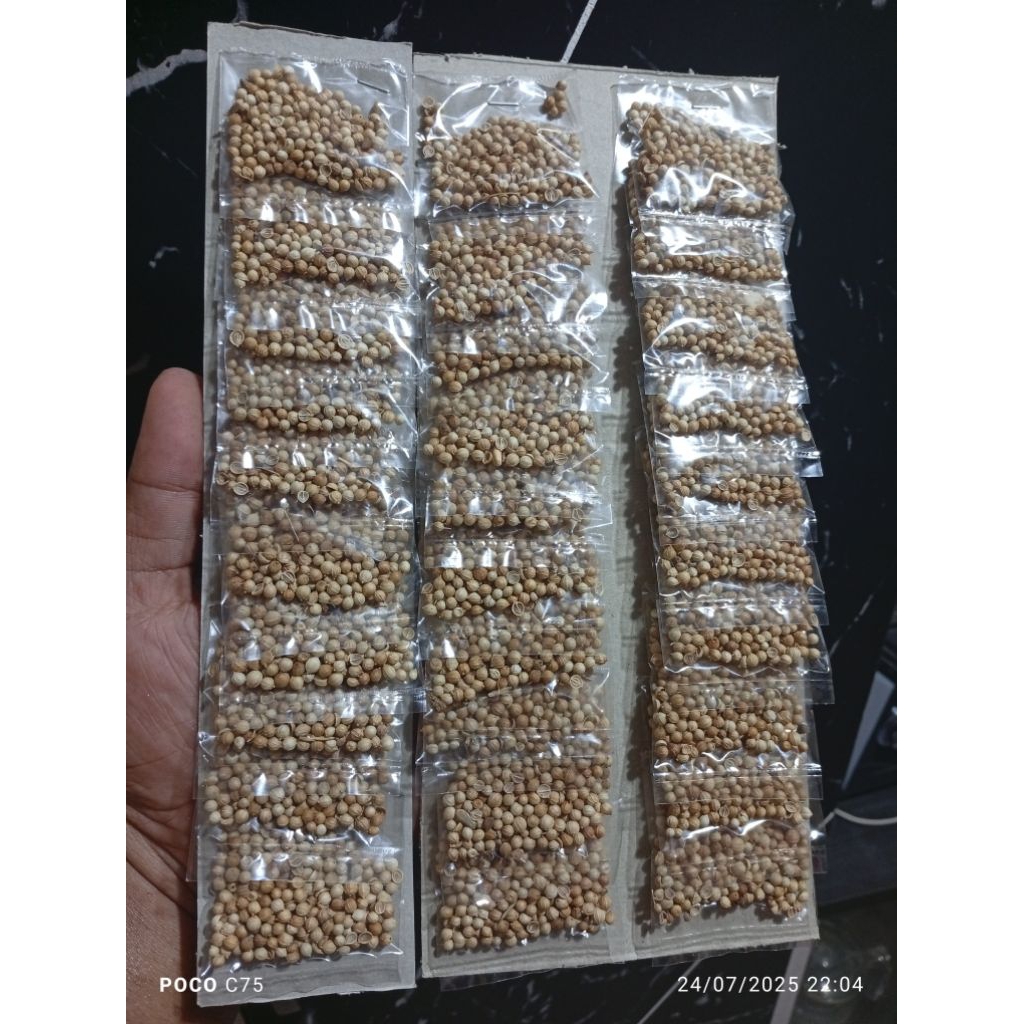 

Bumbu rempah/Bumbu Dapur (Ketumbar)