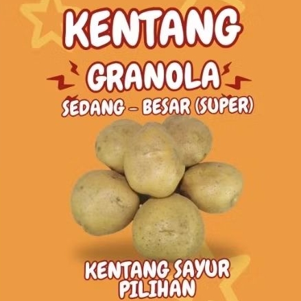

TERLARIS Kentang Super Fresh Lokal ABC