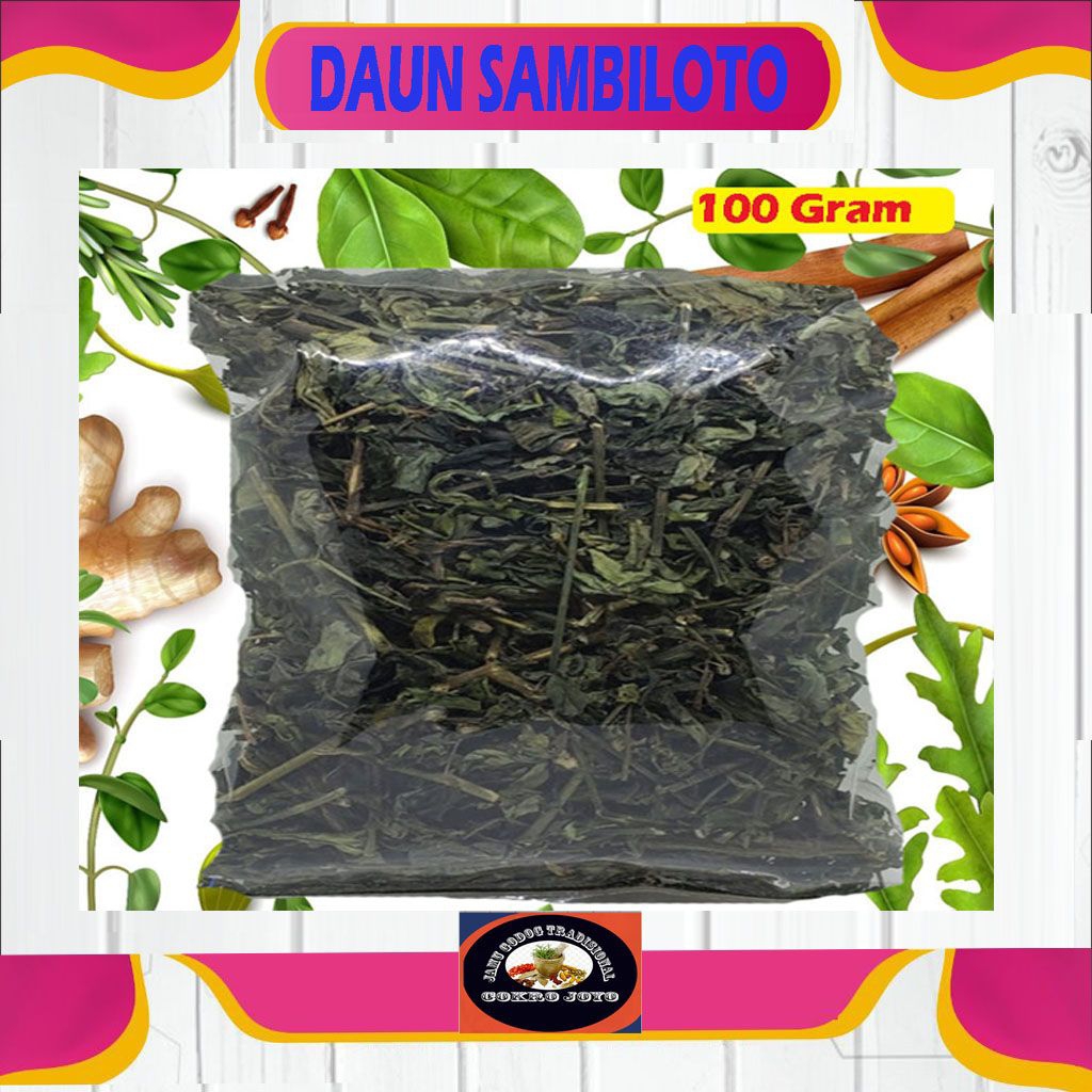 

Daun Sambiloto
