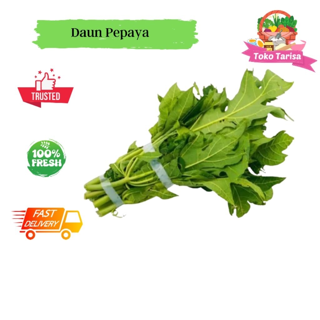 

Daun Pepaya 1 Ikat