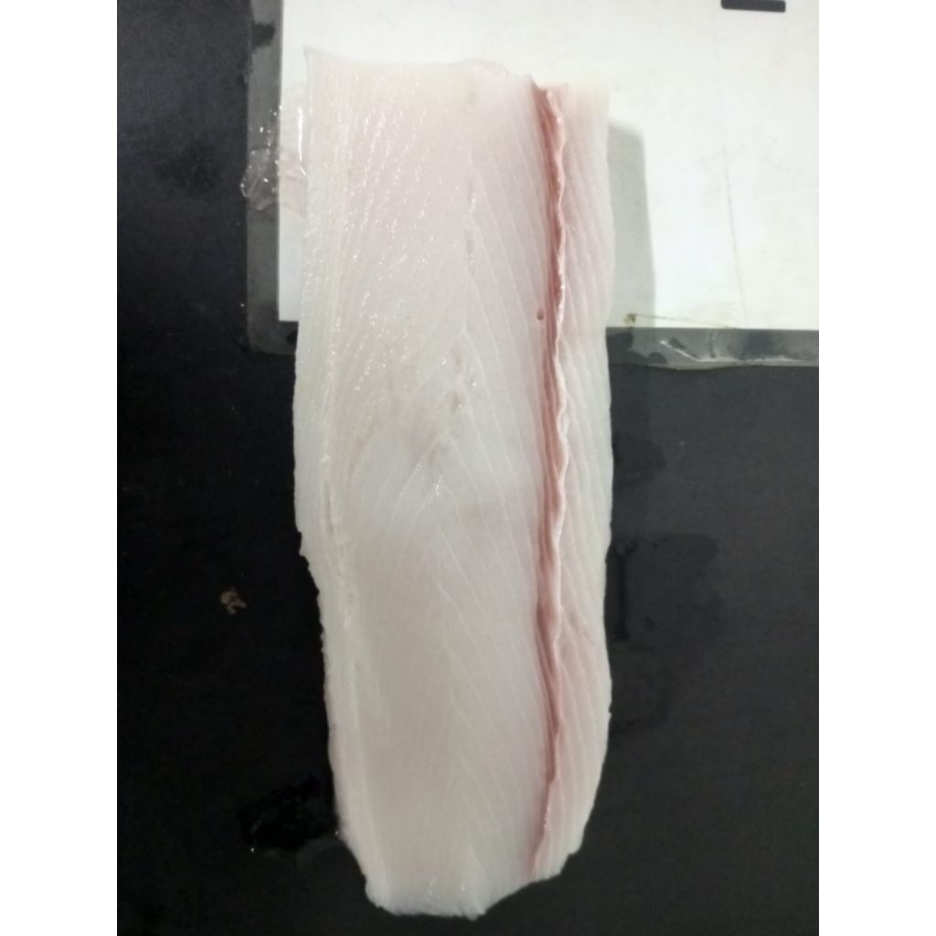 

Ikan Dori Fillet Frozen Termurah