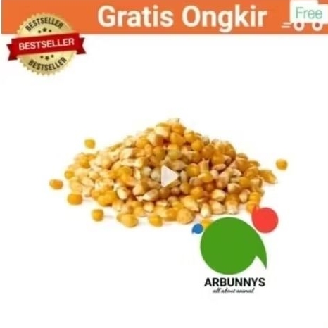 Jagung Pakan ternak  Kering 1kg