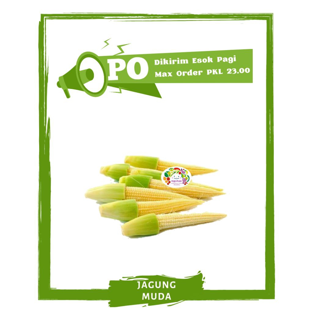 

Janten / Jagung Muda / Sayur Sayuran Segar PO Mallahrizwa