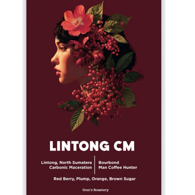 

Lintong CM Filter Beans 100gr