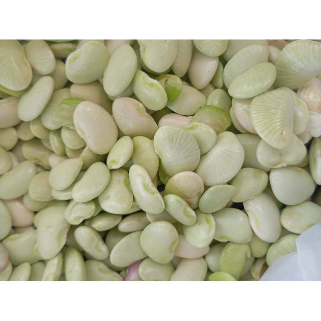 

10biji Benih Karatok Kacang Kara JATIM