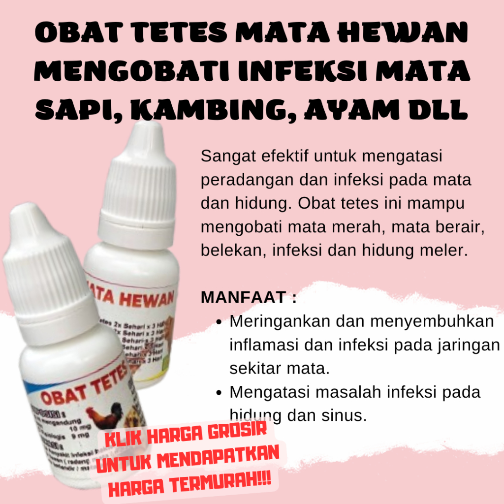 OBAT MATA TETES UNTUK SAPI KAMBING AYAM KERBAU MENGOBATI SAKIT MATA HEWAN TERNAK