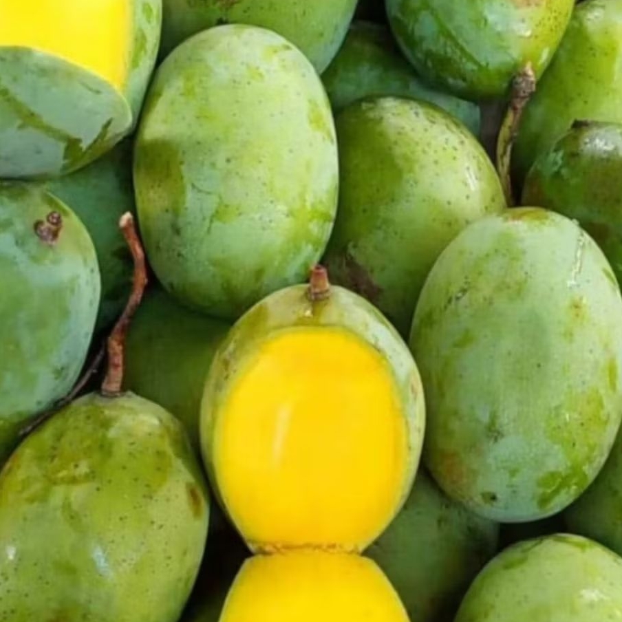 

MANGGA KAWENI BUAH 500GR [MINIMAL ORDER 1KG]