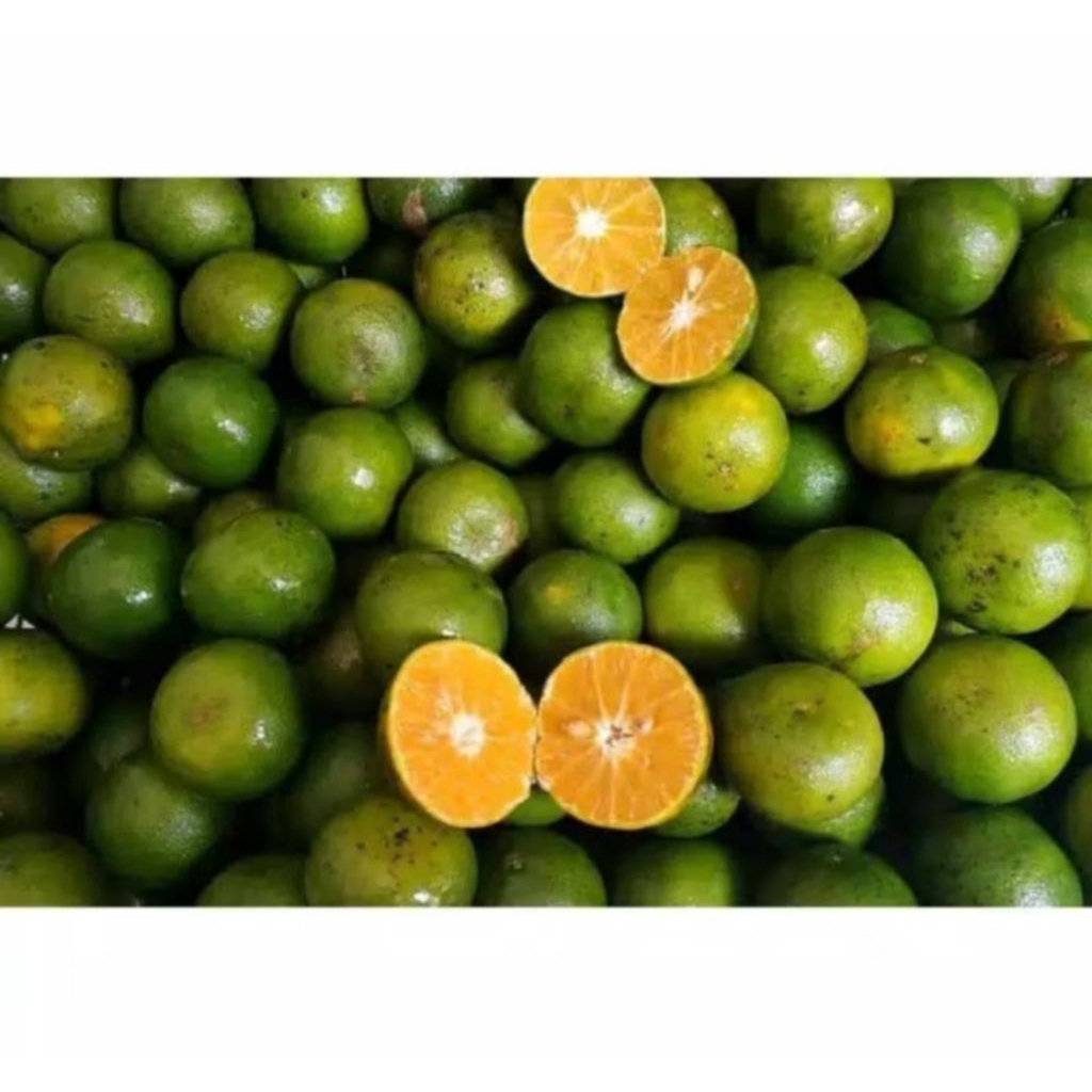 

JERUK PERAS SEGAR 500GR [MINIMAL ORDER 1,5KG]