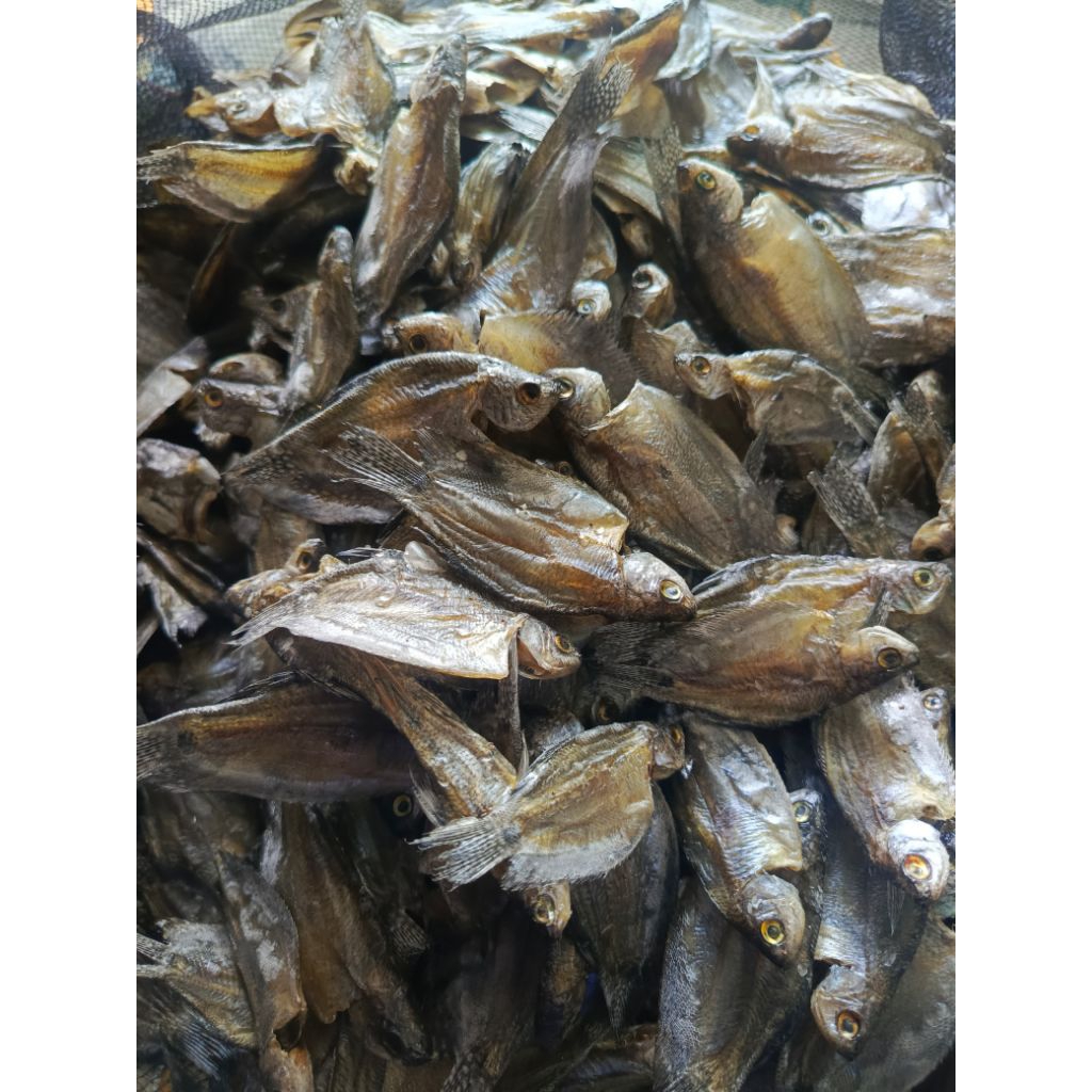 

IKANASINSAPAT/IWAKKARINGSAPAT"KHASKALIMANTAN"250gr-1kg