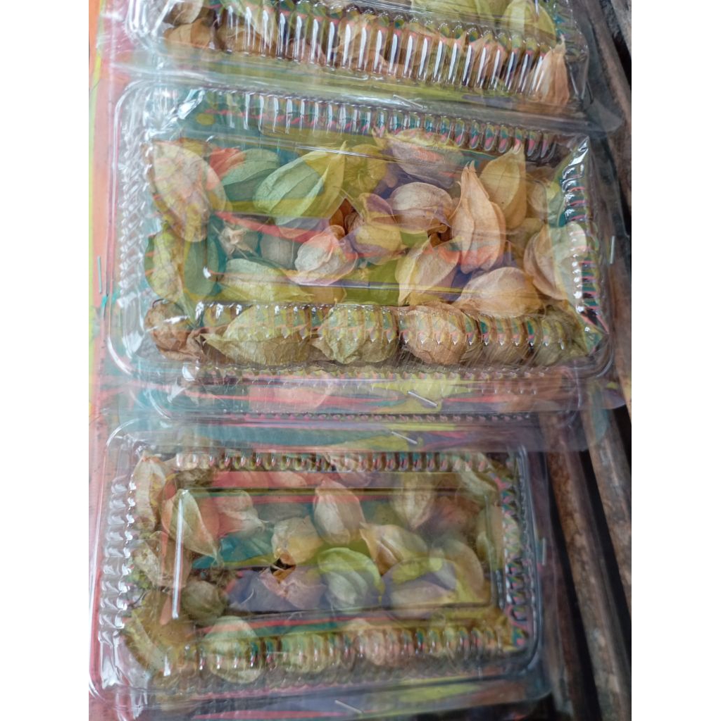 

Buah Ciplukan / Ceplukan / Morel berry pack