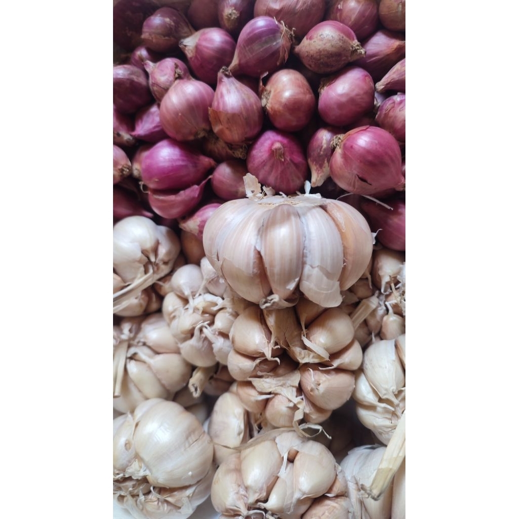 

Bawang Merah & Putih Jumbo Kering 1 Kg