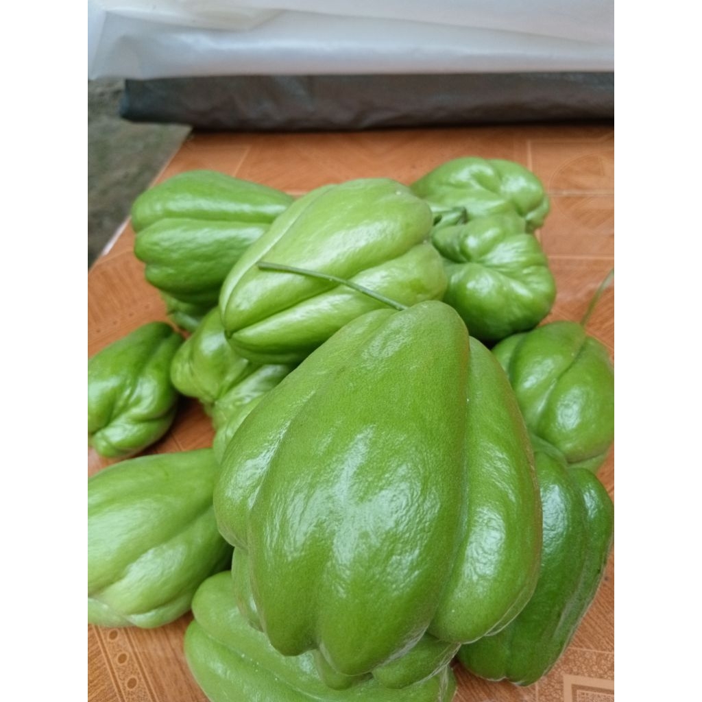 

labu siam beusarrr/sedang