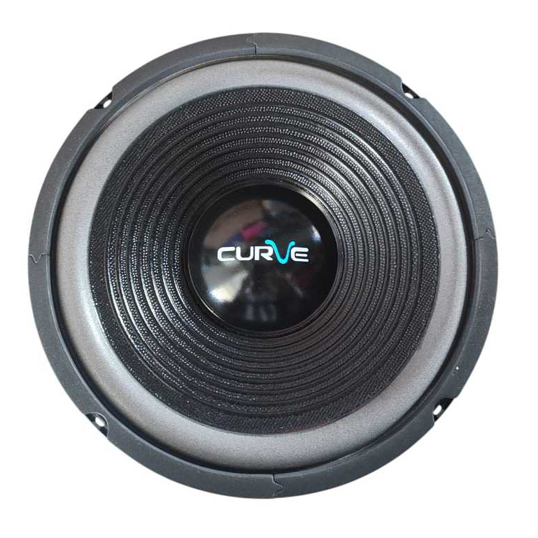 SPEAKER CURVE 10 INCH 25H100SUWPP WOOFER