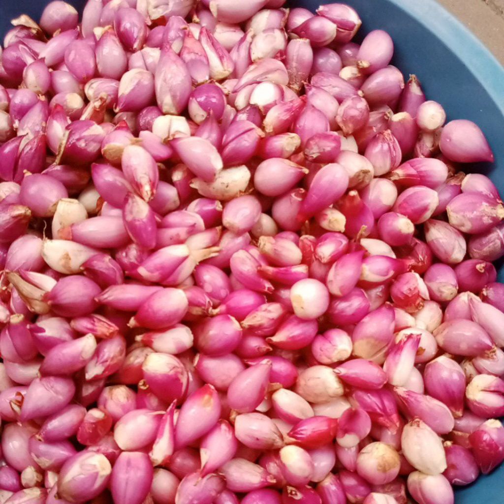 

bawang merah acar kupasan 1kg