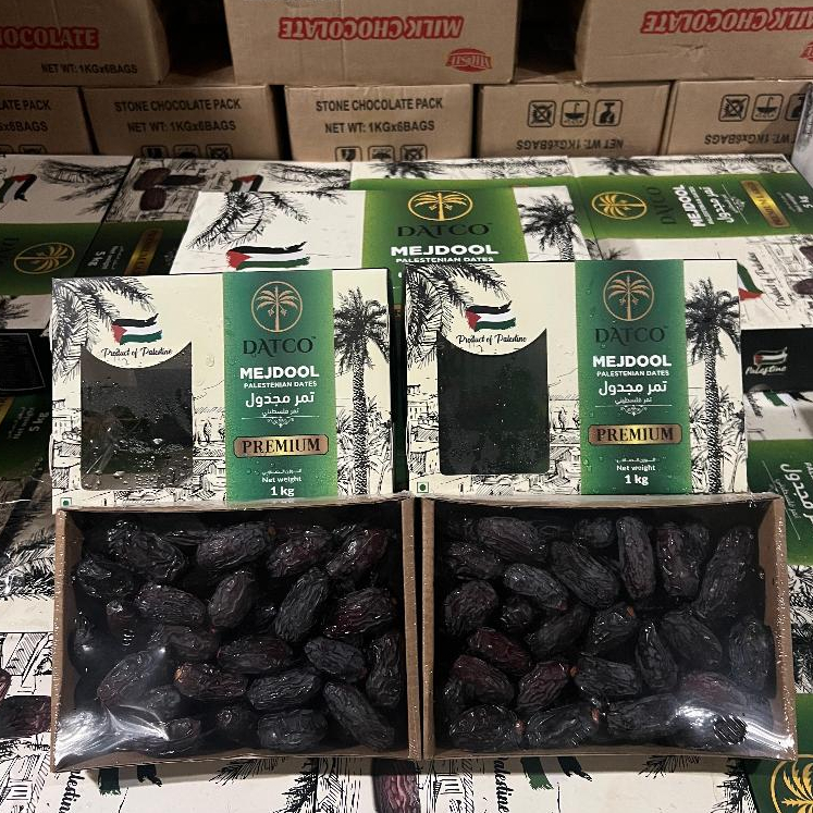 

kurma Medjol Palestine Datco premium kemasan 1kg