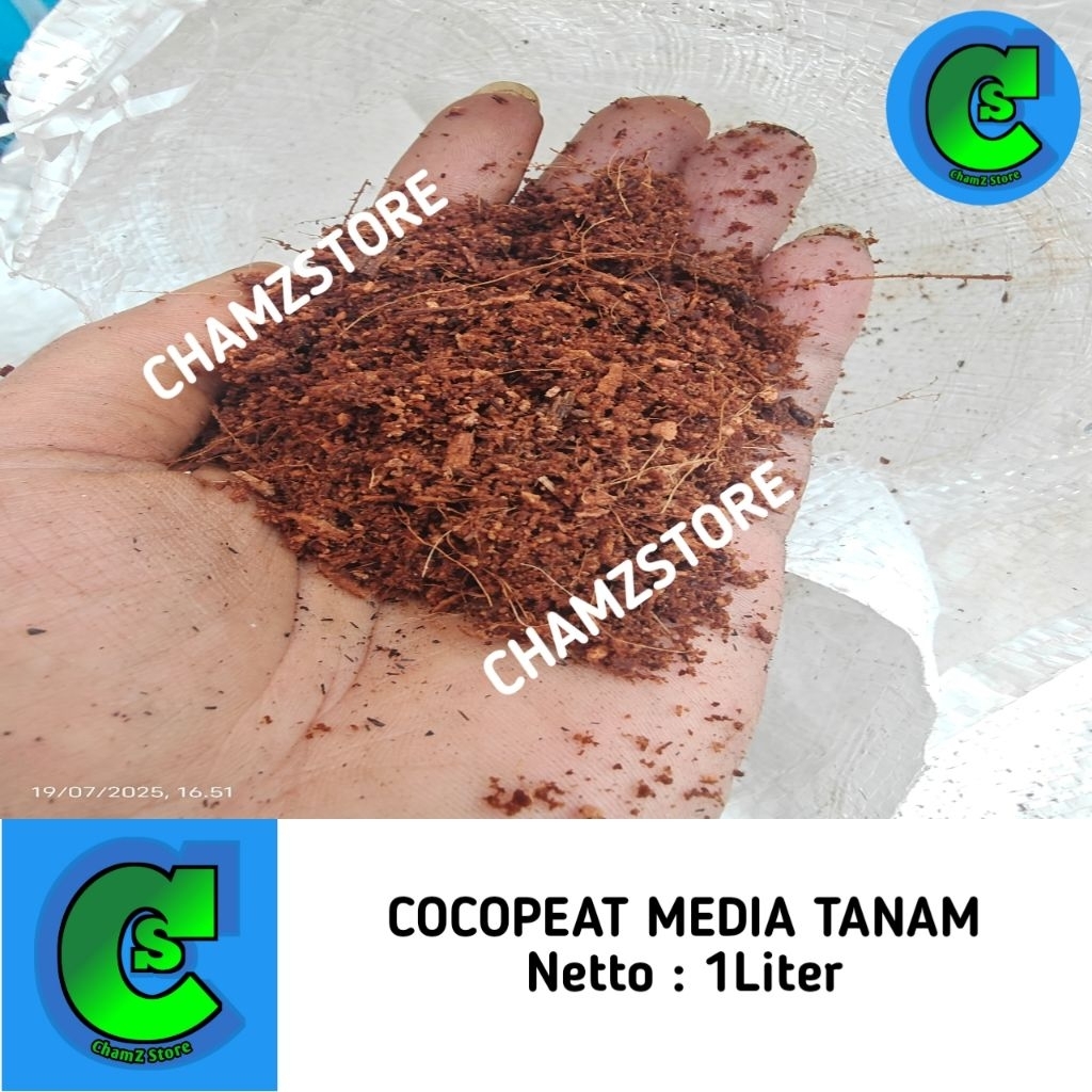 cocopeat media tanam 2 liter / cocopeat / media tanam