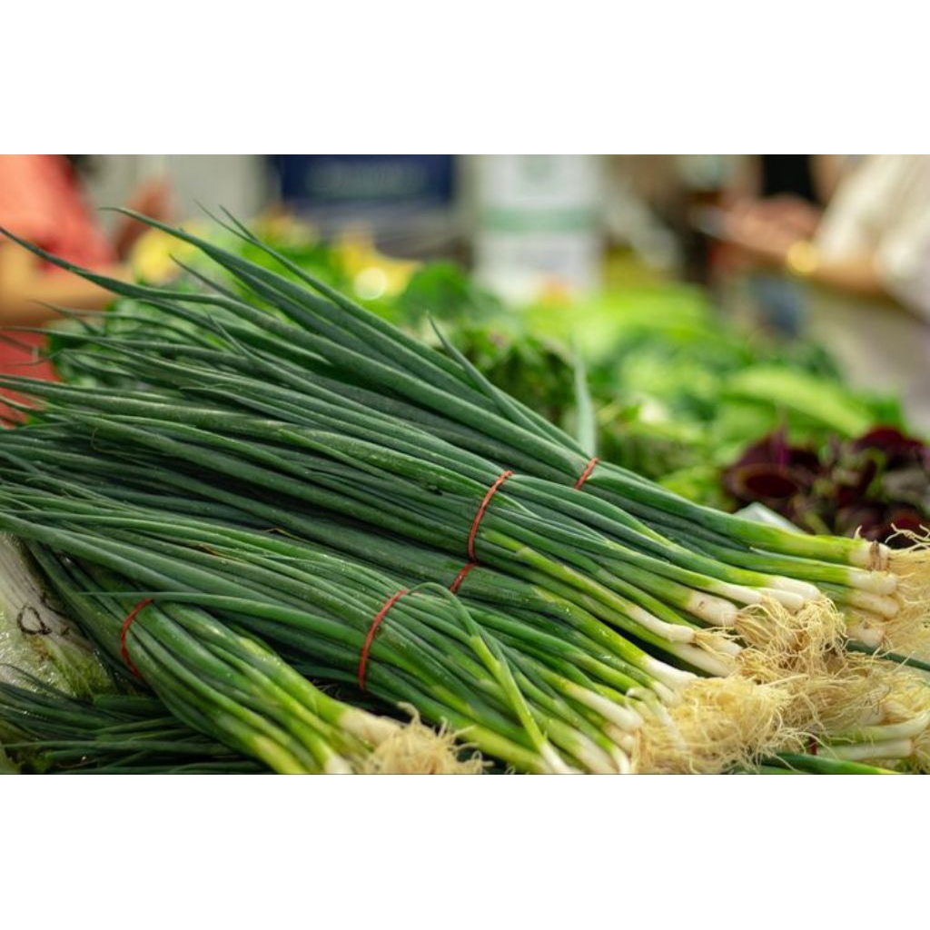 

bawang daun segar 250