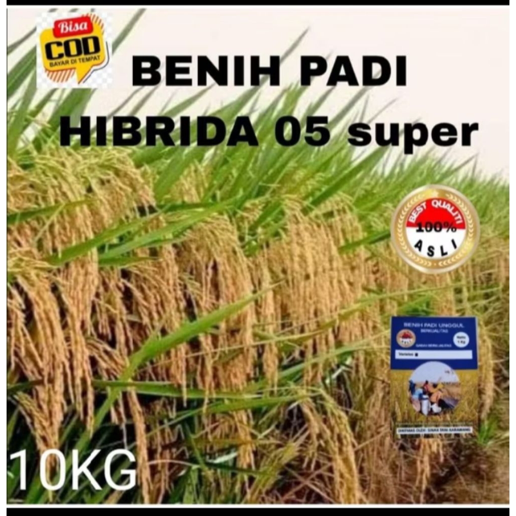 BENIH PADI HIBRIDA 05 SUPER UNGGUL BERKUALITAS 10kg