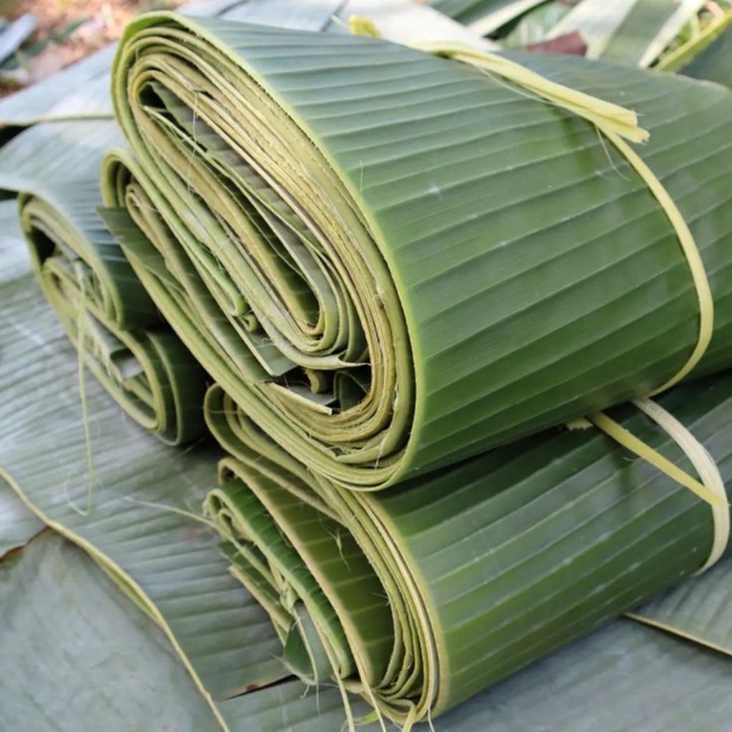 

Daun Pisang Segar Organik 1 Kg Siap Pakai Bungkus Makanan