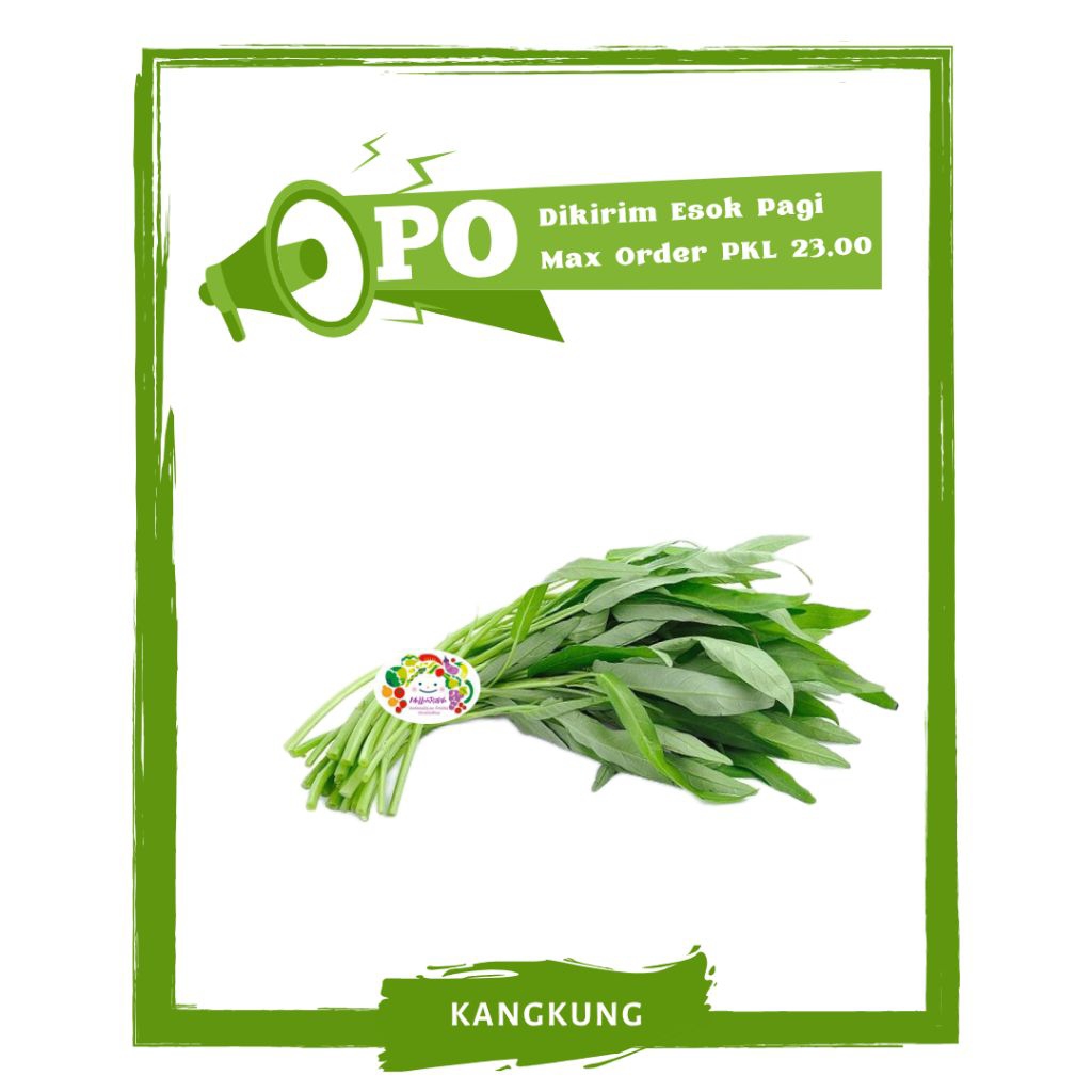

Kangkung / Sayur Sayuran Segar PO Mallahrizwa