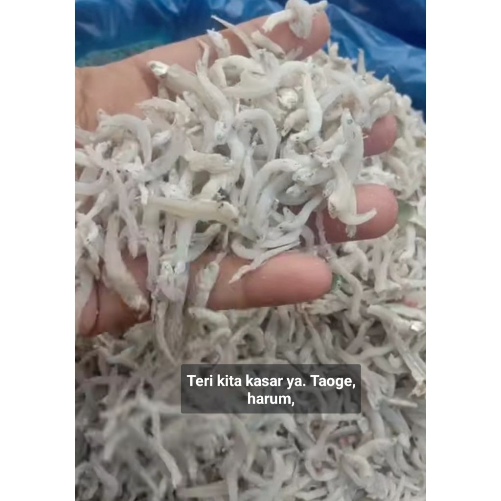 

teri toge freshMedan 250gram(Asli tanjung balai)