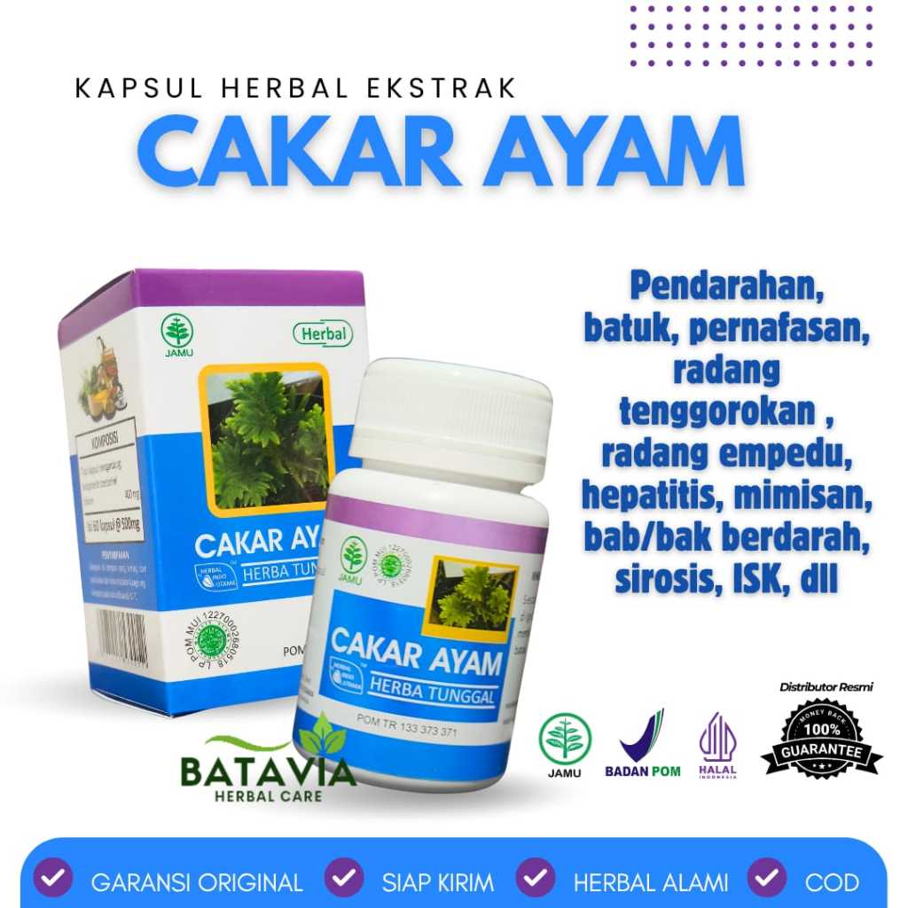 HIU Cakar Ayam Kapsul Herbal