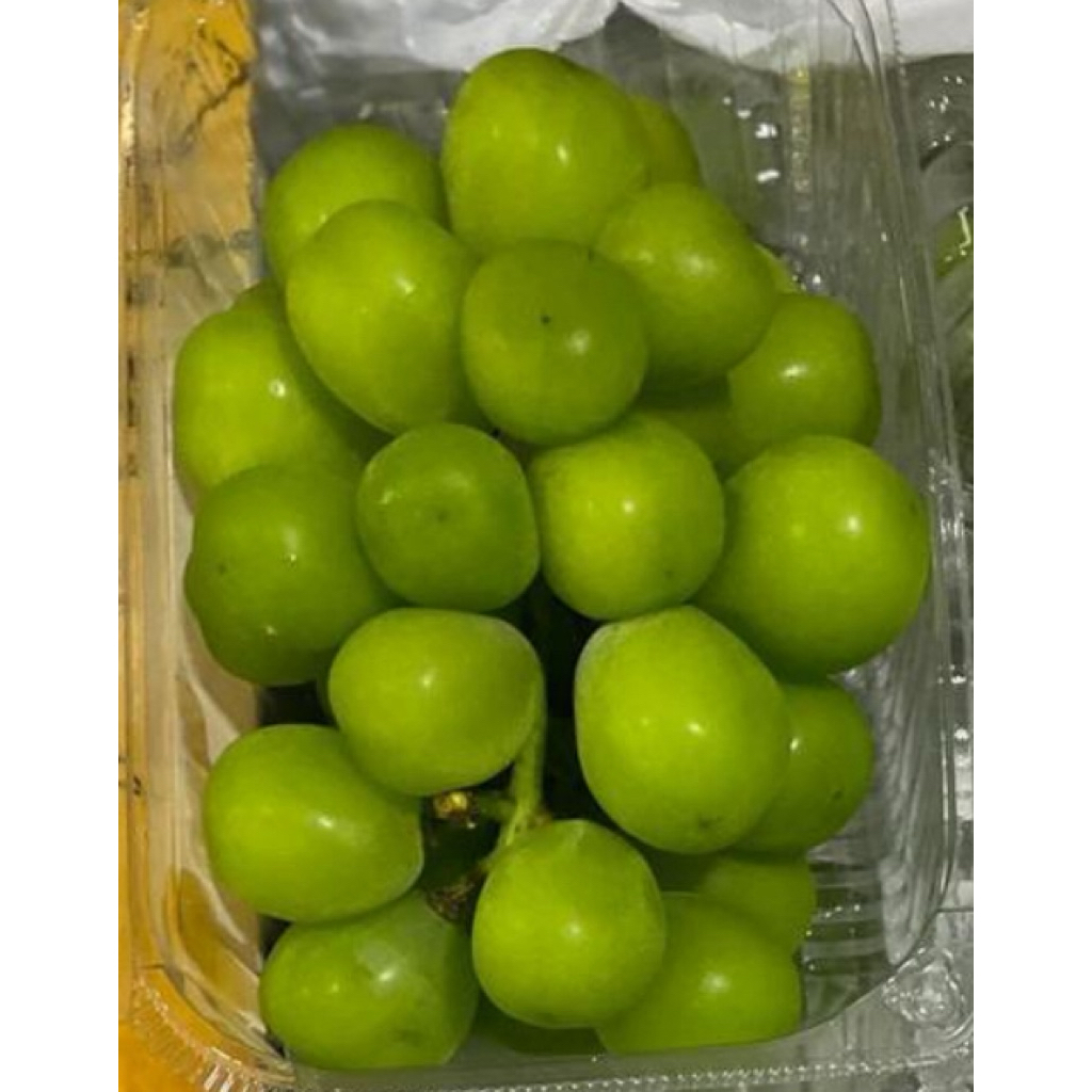 

anggur hijau seedless (non biji)